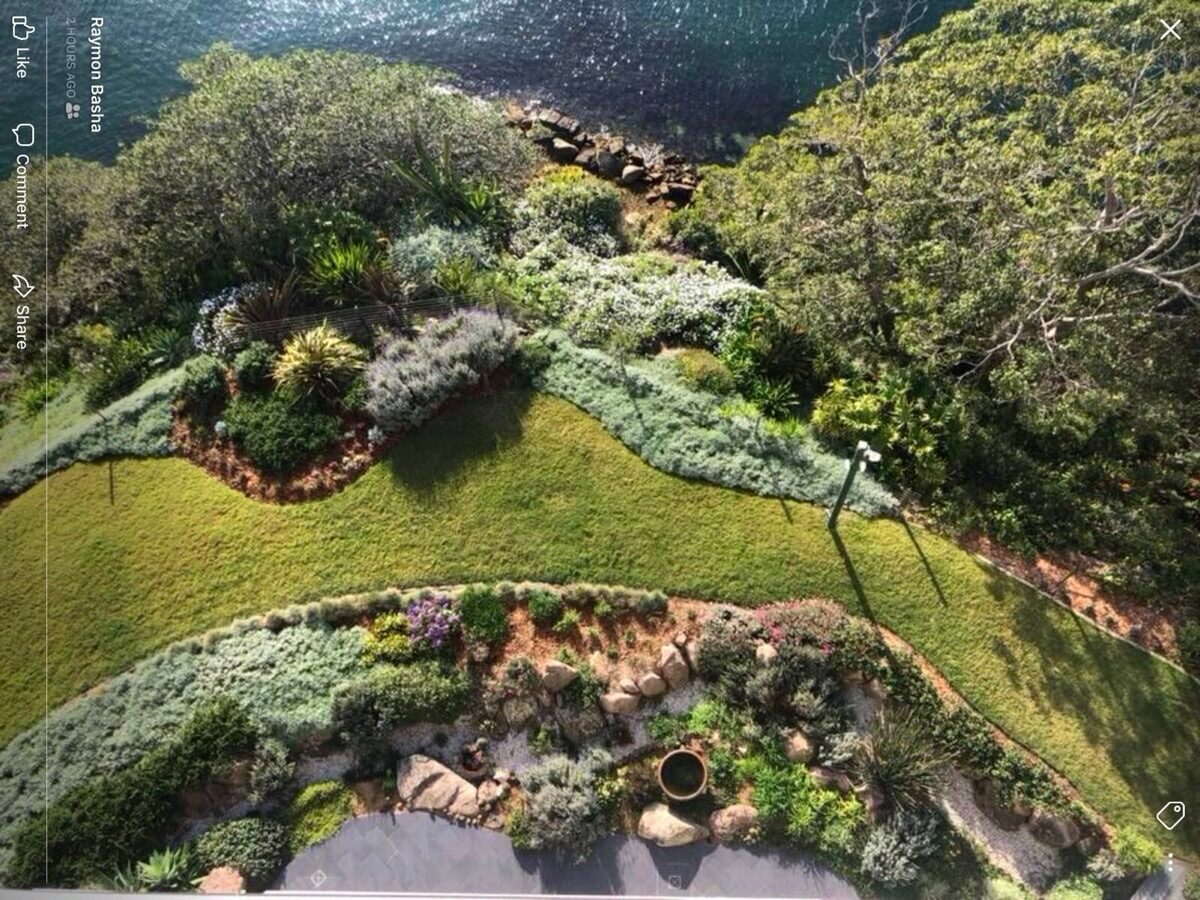 Harbourside estate landscaping by R.B. Kanangra Gardens