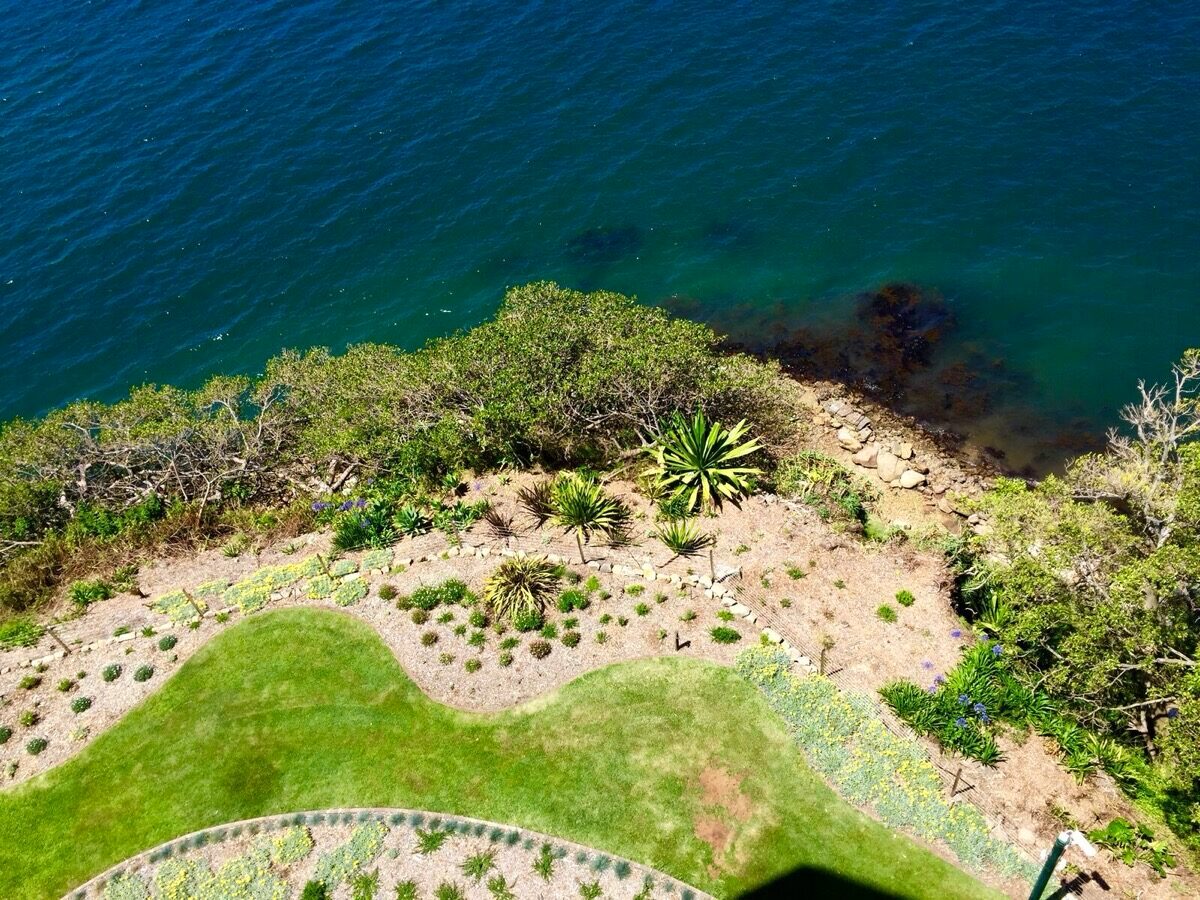 Harbourside cliff garden, landscaping North Shore Sydney