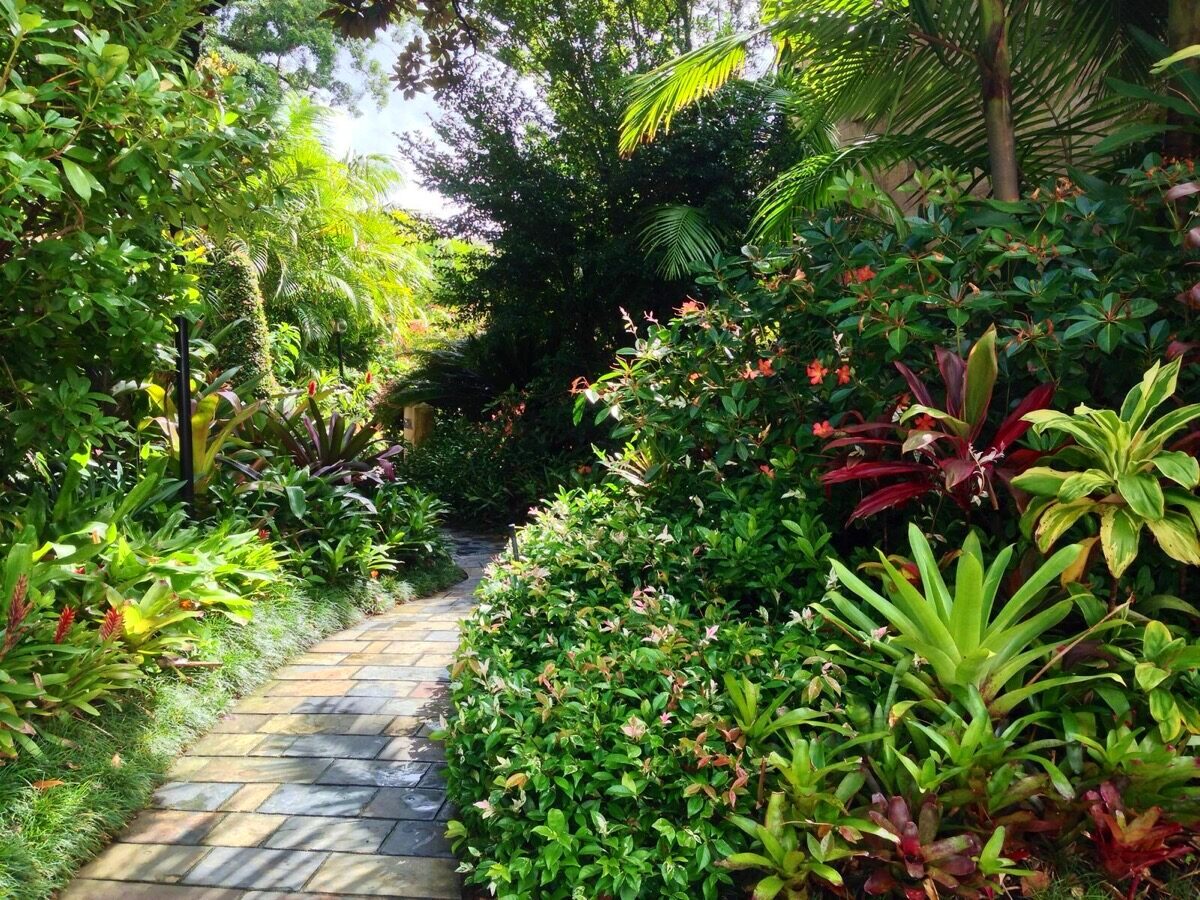 Tropical garden walkway maintained by Kanangra Gardens, Eastern Suburbs Sydney