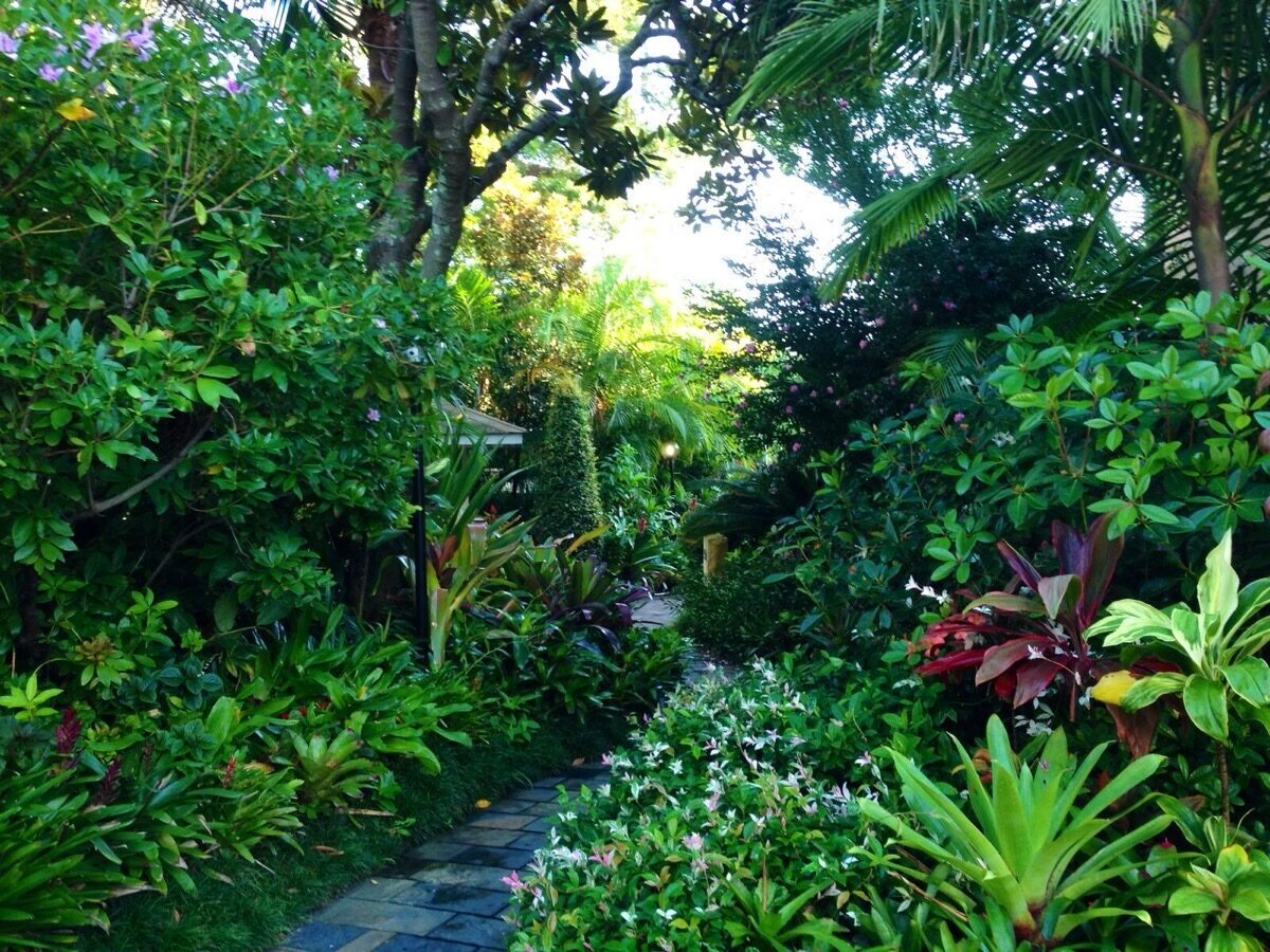 Lush tropical garden path designed and maintained by R.B. Kanangra Gardens, Sydney landscaper